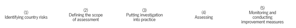 (1) Identifying country risks; (2) Defining the scope of assessment; (3) Putting investigation into practice; (4) Assessing; (5) Monitoring and conducting improvement measures