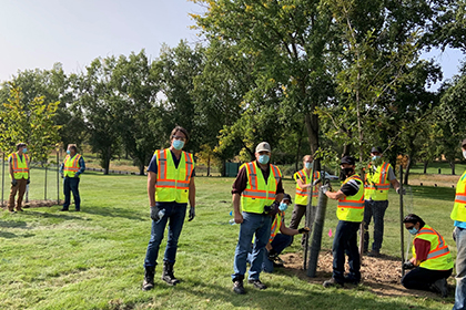 Tree planting (Cancarb Limited)